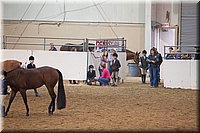 4H-State-2016-1244.jpg