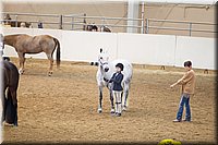 4H-State-2016-1246.jpg