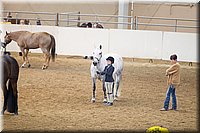 4H-State-2016-1247.jpg