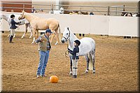 4H-State-2016-1249.jpg