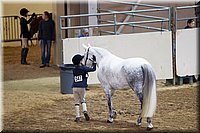 4H-State-2016-1268.jpg