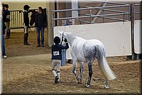 4H-State-2016-1269.jpg