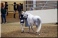 4H-State-2016-1270.jpg