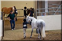 4H-State-2016-1271.jpg