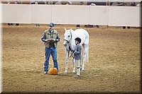 4H-State-2016-1273.jpg