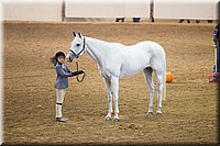 4H-State-2016-1279.jpg