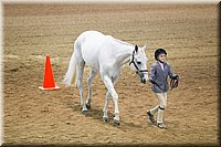 4H-State-2016-1287.jpg