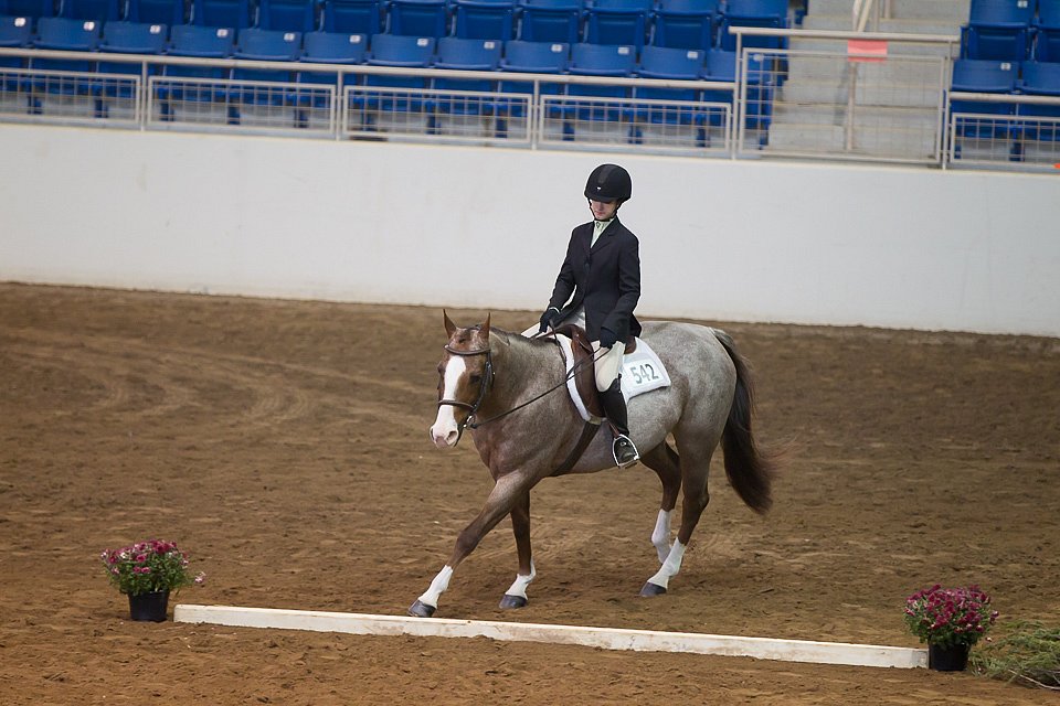 4H-State-2016-0537.jpg