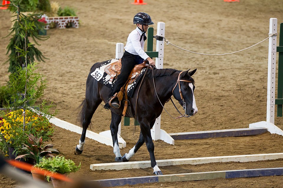 4H-State-2016-0652.jpg