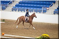 4H-State-2016-0549.jpg