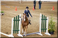 4H-State-2016-0554.jpg