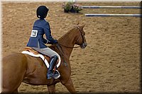 4H-State-2016-0560.jpg