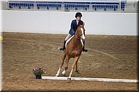 4H-State-2016-0561.jpg