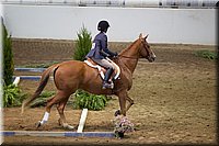 4H-State-2016-0562.jpg