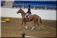 4H-State-2016-0563.jpg