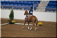 4H-State-2016-0564.jpg