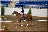 4H-State-2016-0566.jpg