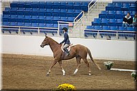 4H-State-2016-0567.jpg