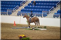 4H-State-2016-0568.jpg