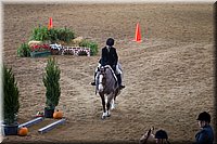 4H-State-2016-0573.jpg