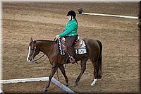 4H-State-2016-0628.jpg