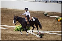 4H-State-2016-0641.jpg