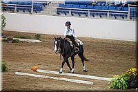 4H-State-2016-0643.jpg