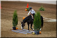 4H-State-2016-0645.jpg