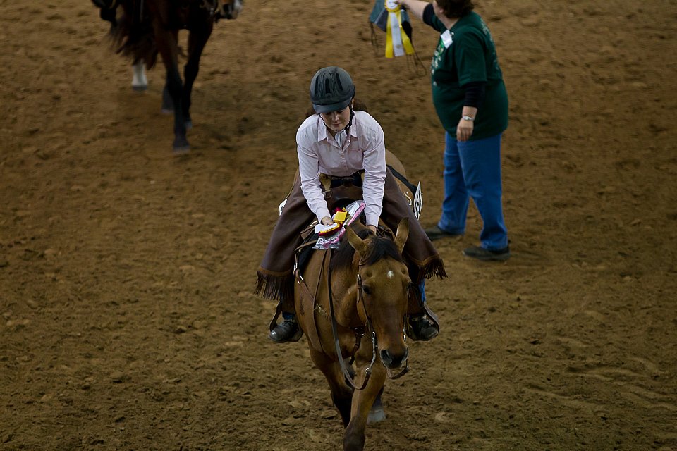 4H-State-2016-0725.jpg