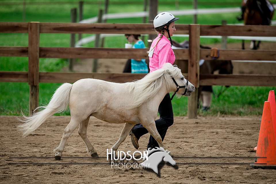 4H-2nd-071517-1732.jpg
