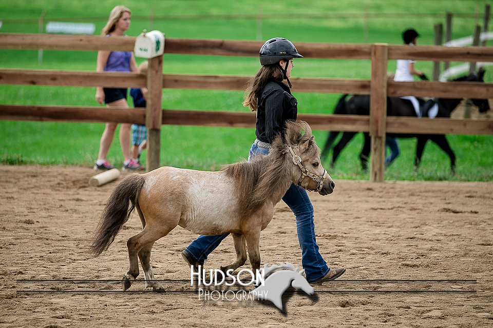 4H-2nd-071517-1751.jpg