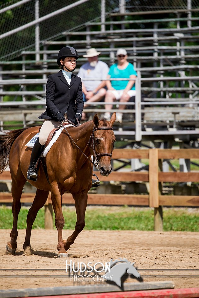 4H-3rd-072917-2380.jpg
