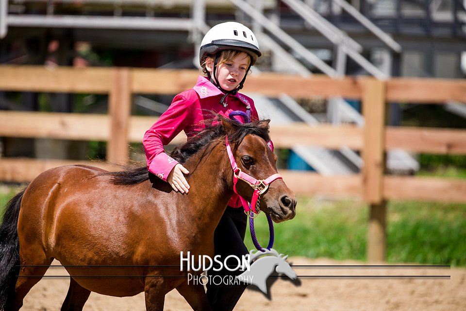4H-3rd-072917-2735.jpg