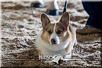 4H-District-17-2570.jpg