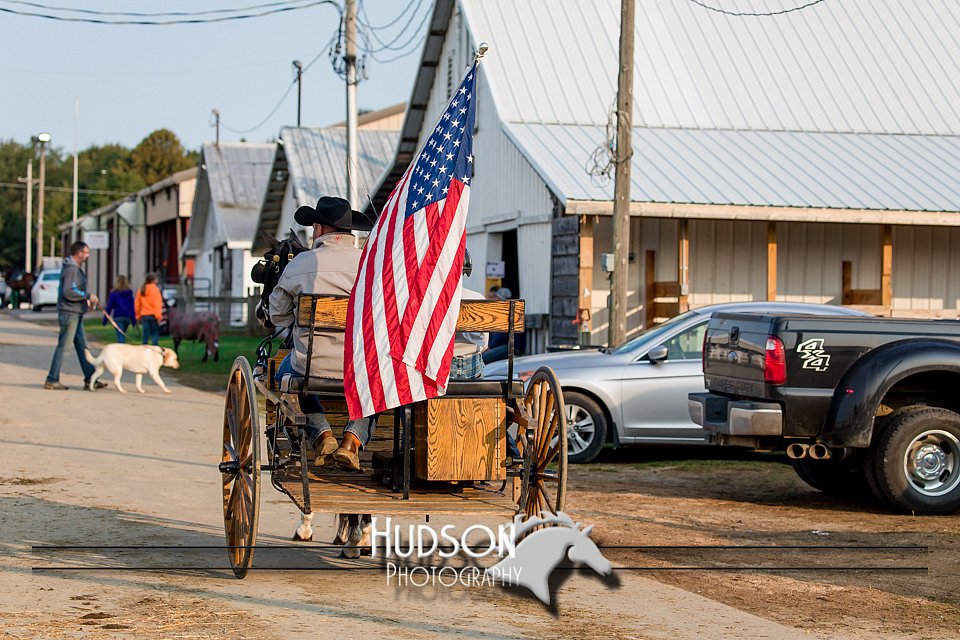 4H-District-17-2233.jpg
