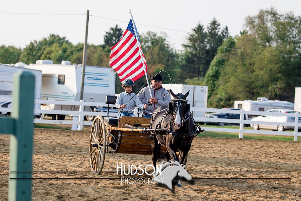 4H-District-17-2244.jpg