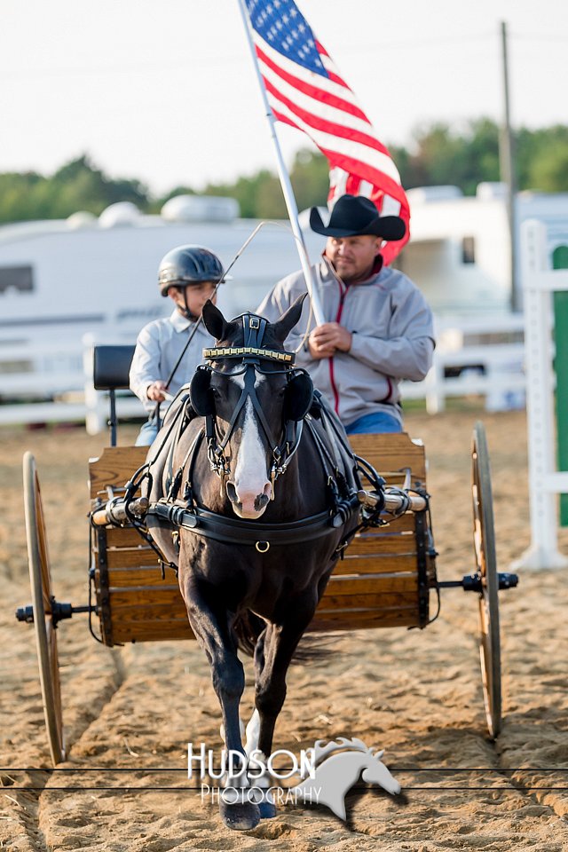 4H-District-17-2261.jpg