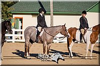 4H-District-17-2068.jpg