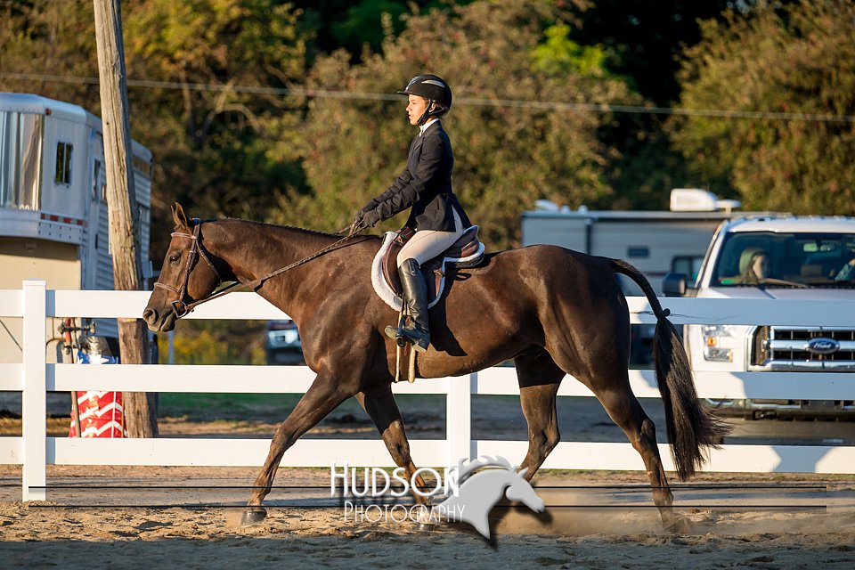 4H-District-17-2159.jpg