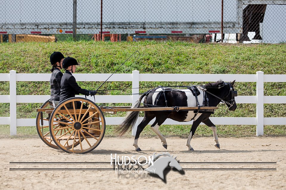 4H-District-17-2515.jpg