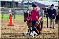 4H-FUN-061017-0168.jpg