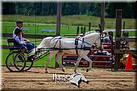 4H-FUN-061017-1268.jpg