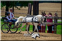 4H-FUN-061017-1273.jpg