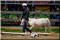 4H-FUN-061017-1468.jpg