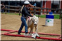 4H-FUN-061017-1472.jpg