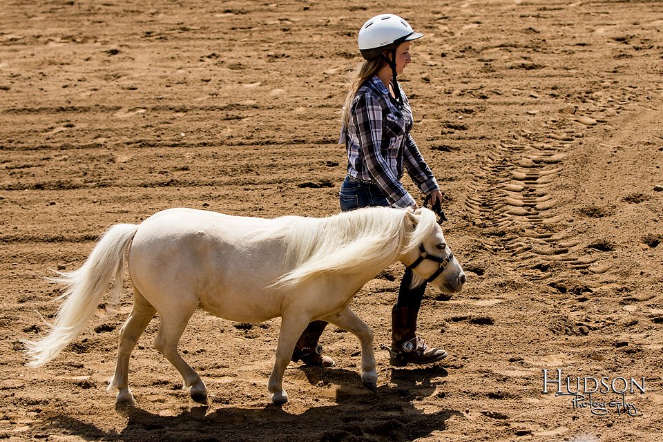 LCFAIR-081817-0975.jpg