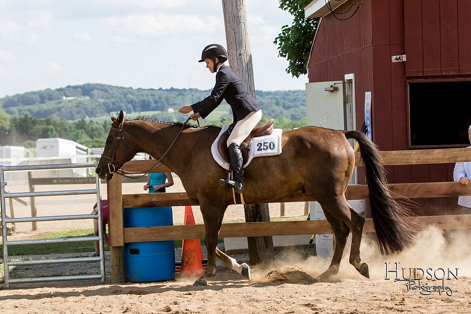 LCFAIR-081817-1680.jpg