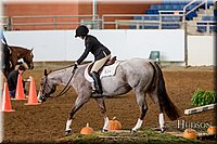 4H-State-2017-0538.jpg