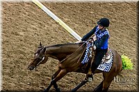 4H-State-2017-0550.jpg