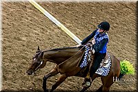 4H-State-2017-0551.jpg